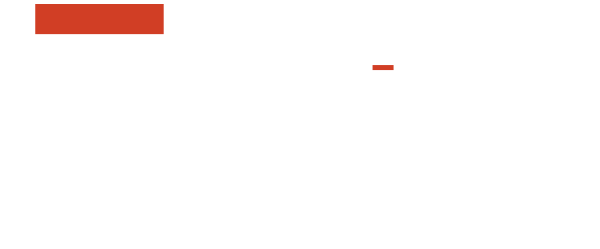 seicho technology solutions